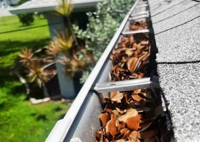 Blue Ash gutter cleaning home page